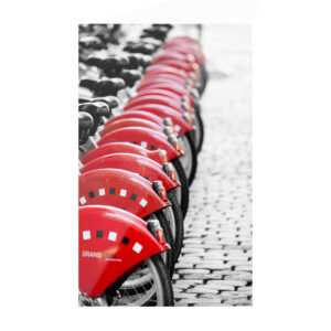Tableau Urbain vélos à Lyon en édition limitée